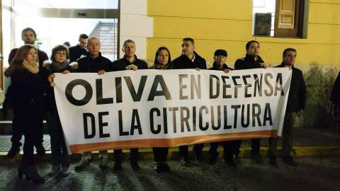Oliva.