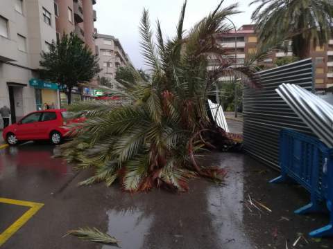 Gandia