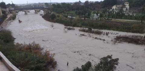 Río Serpis a su paso por Gandia.