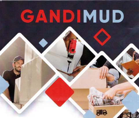 Gandimud