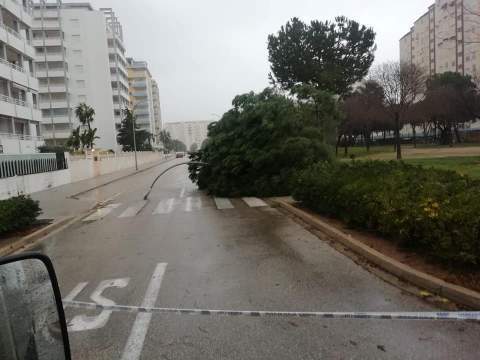 Playa de Gandia.