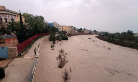 El Serpis en Gandia, esta mañana.