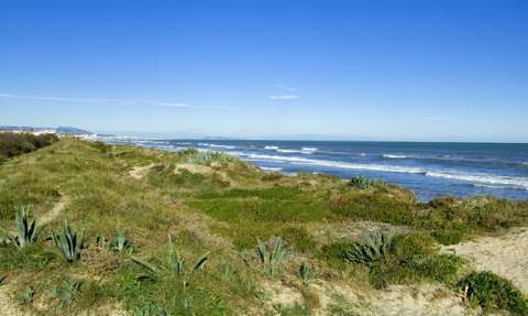 Una de las playas naturales de Oliva.