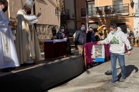 Gandia