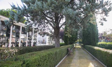 Cementerio de Gandia.