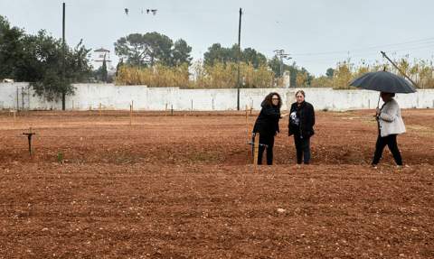 Visita a la parcela. Visita a la parcela.