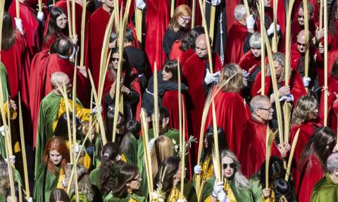 Domingo de Ramos, Gandia. / Foto: &Agrave;lex Oltra.