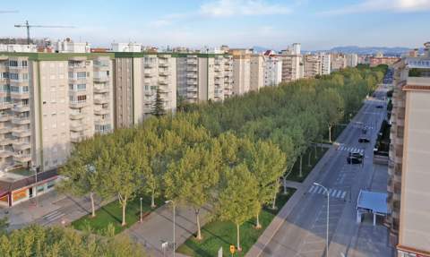 Paseo Rosa dels Vents, en Gandia, Paseo Rosa dels Vents, en Gandia,