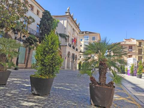 Plaza del Ayuntamiento. Foto: J.C.