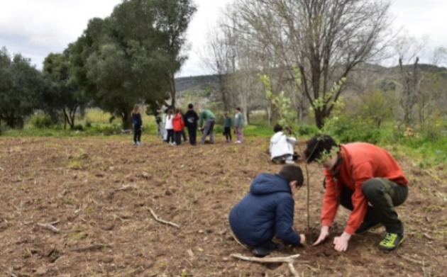 Un arbre plantat per cada naixement a Gandia: una iniciativa per a la conscienciació mediambiental