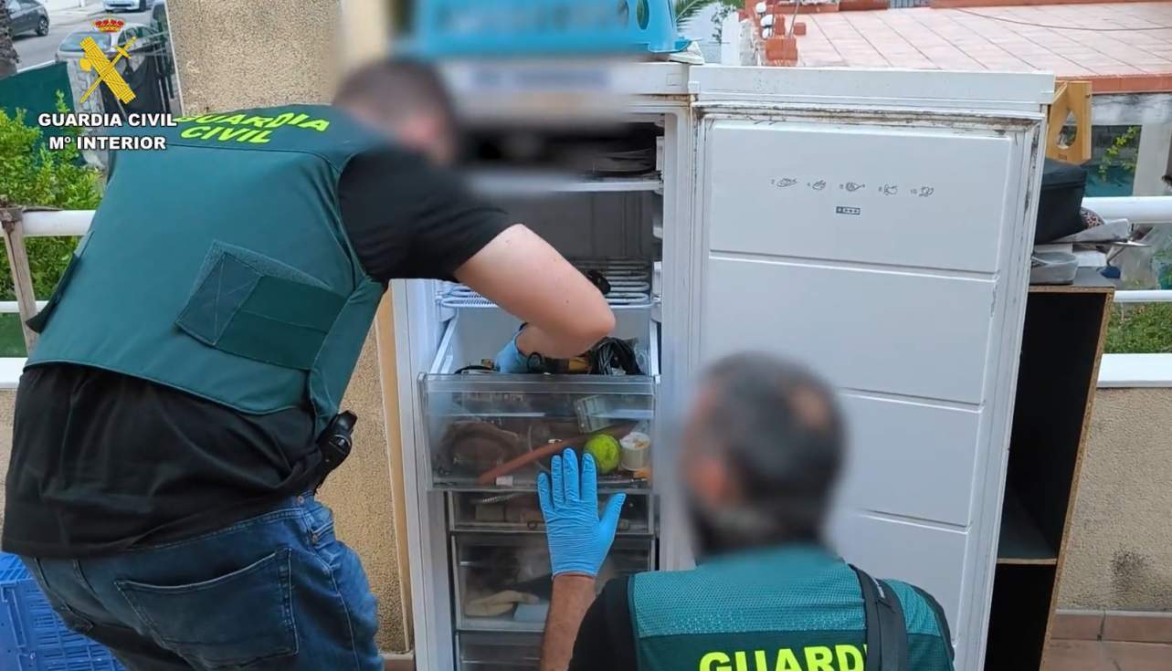 Detenidos cuatro miembros de un clan familiar dedicado al robo y al menudeo de marihuana en Oliva