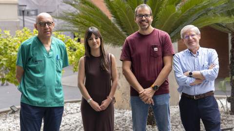 Un estudio demuestra que el daño provocado por un infarto puede extenderse a regiones remotas del ventrículo