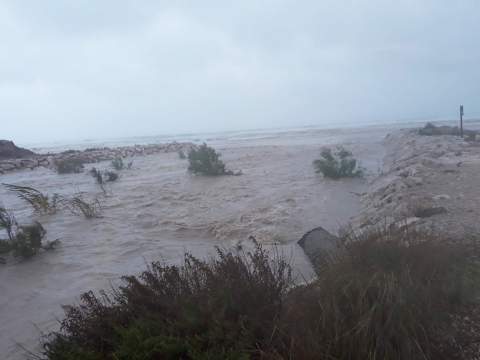 Rambla Gallinera, Oliva.