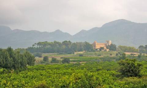 Vista del monasterio de Sant Jeroni. Vista del monasterio de Sant Jeroni.