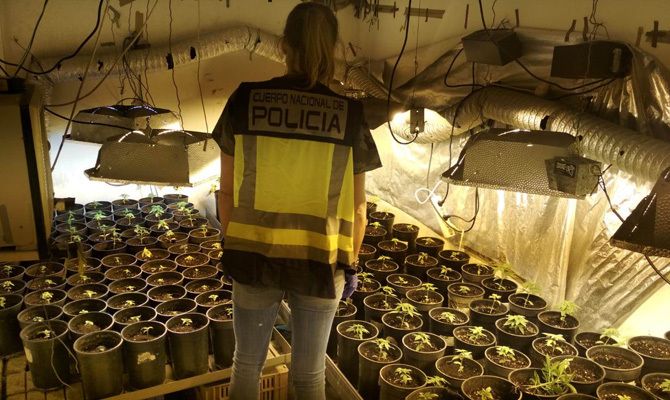 Un agente en la plantación.