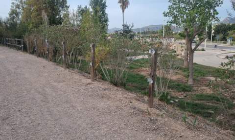 Camino sin barreras.