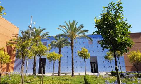 &Aacute;gora del Campus.