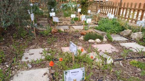 Hort Aromàtic.