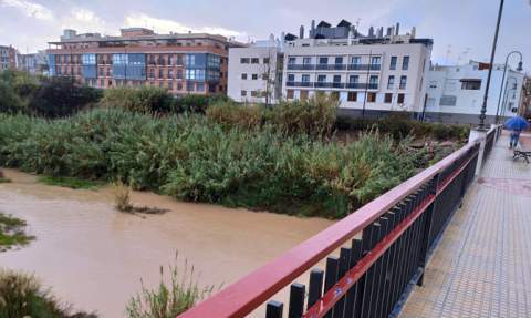 El Serpis a su paso por el centro de Gandia el jueves.