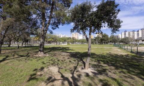 Zona donde ir&aacute; el dep&oacute;sito.