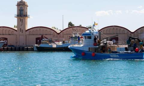 Muelle pesquero de Gandia. Muelle pesquero de Gandia.