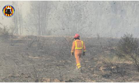 Un bombero camina por un terreno quemado. Un bombero camina por un terreno quemado.