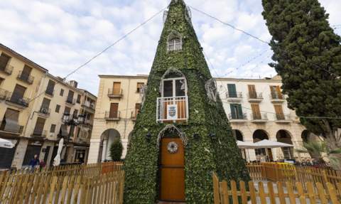 El &aacute;rbol instalado en la plaza Major.