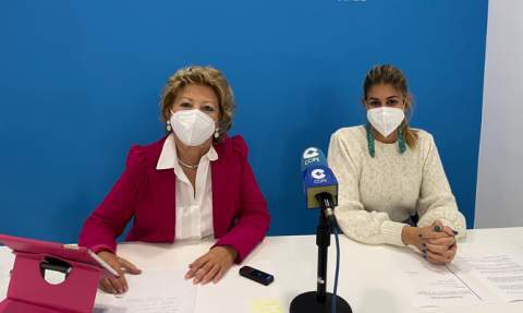 Climent y D&iacute;az, en rueda de prensa.