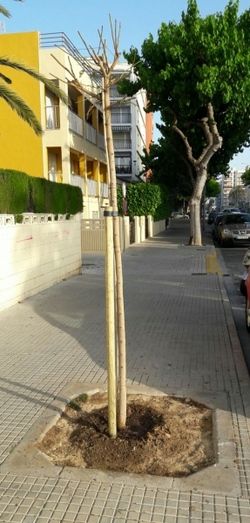 [Img #18414]